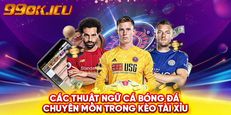 Thuật ngữ cá bóng đá chuyên môn trong kèo tài xỉu